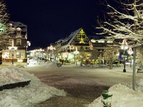 Stadtwohnung Schneeflocke Winterberg Luaran gambar